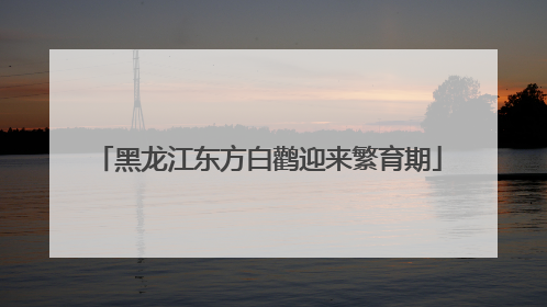 黑龙江东方白鹳迎来繁育期