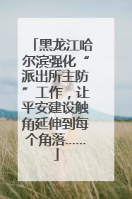 黑龙江哈尔滨强化“派出所主防”工作，让平安建设触角延伸到每个角落……