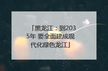 黑龙江：到2035年 要全面建成现代化绿色龙江