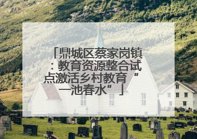 鼎城区蔡家岗镇：教育资源整合试点激活乡村教育“一池春水”