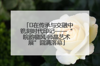 ﻿在传承与交融中镌刻时代印记——“皖韵徽风·师晶艺术展”圆满落幕
