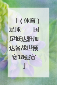 （体育）足球——国足抵达雅加达备战世预赛18强赛