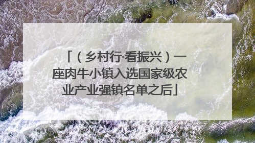 （乡村行·看振兴）一座肉牛小镇入选国家级农业产业强镇名单之后