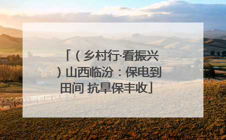 （乡村行·看振兴）山西临汾：保电到田间 抗旱保丰收