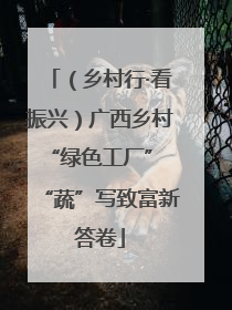 （乡村行·看振兴）广西乡村“绿色工厂” “蔬”写致富新答卷