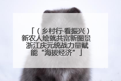 （乡村行·看振兴）新农人绘就共富新图景 浙江庆元统战力量赋能“海拔经济”