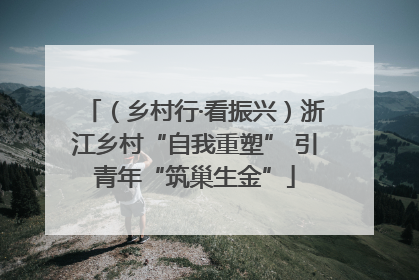 （乡村行·看振兴）浙江乡村“自我重塑” 引青年“筑巢生金”