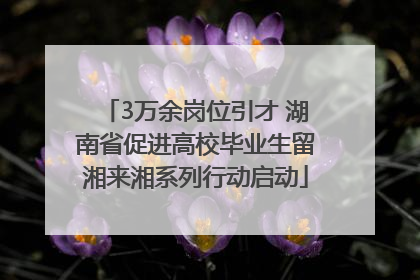 3万余岗位引才 湖南省促进高校毕业生留湘来湘系列行动启动