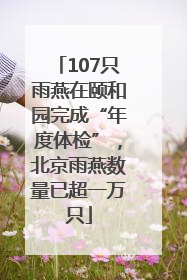107只雨燕在颐和园完成“年度体检”，北京雨燕数量已超一万只