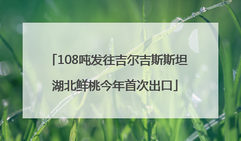 108吨发往吉尔吉斯斯坦 湖北鲜桃今年首次出口