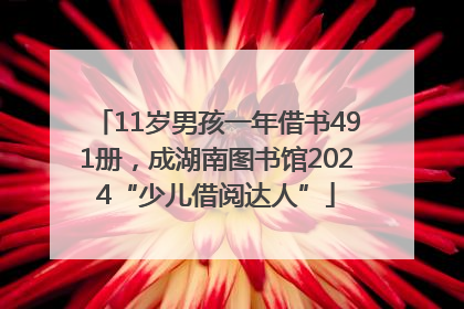 11岁男孩一年借书491册，成湖南图书馆2024“少儿借阅达人”