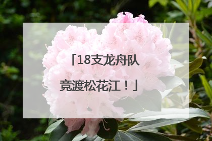 18支龙舟队竞渡松花江！