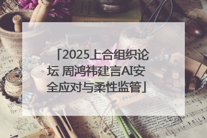 2025上合组织论坛 周鸿祎建言AI安全应对与柔性监管