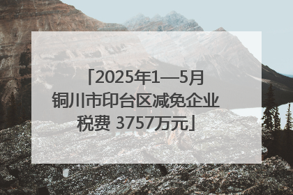 2025年1—5月铜川市印台区减免企业税费 3757万元