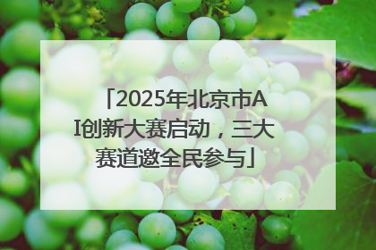 2025年北京市AI创新大赛启动，三大赛道邀全民参与