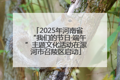 2025年河南省“我们的节日·端午”主题文化活动在漯河市召陵区启动