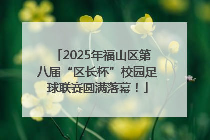 2025年福山区第八届“区长杯”校园足球联赛圆满落幕！