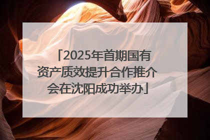 2025年首期国有资产质效提升合作推介会在沈阳成功举办