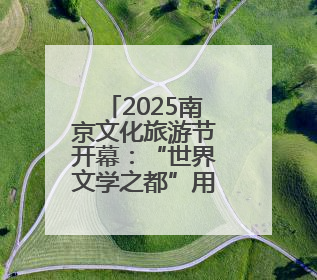 2025南京文化旅游节开幕：“世界文学之都”用百场活动等你打卡