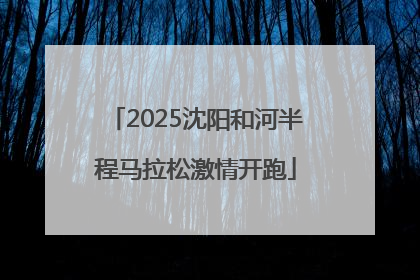 2025沈阳和河半程马拉松激情开跑