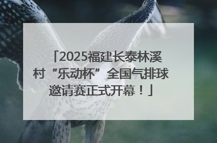 2025福建长泰林溪村“乐动杯”全国气排球邀请赛正式开幕！