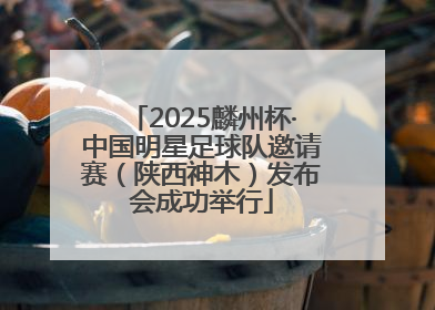 2025麟州杯·中国明星足球队邀请赛（陕西神木）发布会成功举行
