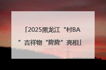 2025黑龙江“村BA”吉祥物“隆隆”亮相