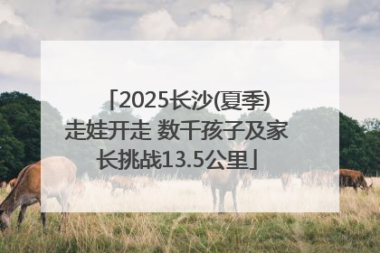 2025长沙(夏季)走娃开走 数千孩子及家长挑战13.5公里