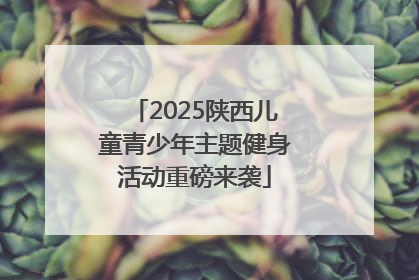 2025陕西儿童青少年主题健身活动重磅来袭