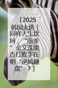 2025韩国大选｜同样人生坎坷，“前辈”金文洙能否打败李在明“逆风翻盘”？