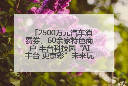 2500万元汽车消费券、60余家特色商户 丰台科技园“AI丰台 更京彩”未来玩家市集活动正式开幕