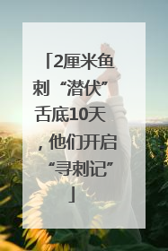2厘米鱼刺“潜伏”舌底10天，他们开启“寻刺记”