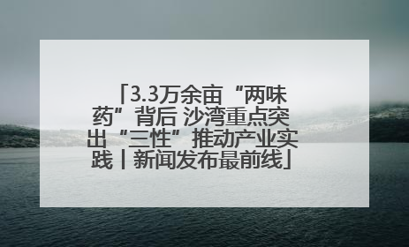 3.3万余亩“两味药”背后 沙湾重点突出“三性”推动产业实践丨新闻发布最前线