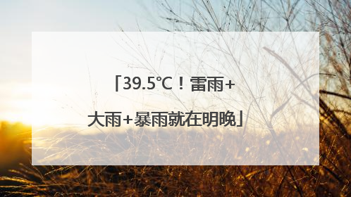 39.5℃！雷雨+大雨+暴雨就在明晚