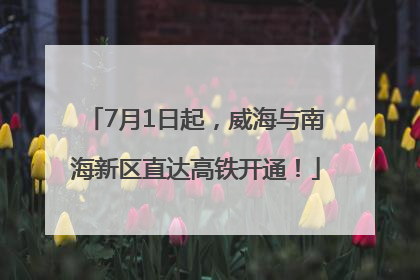 7月1日起，威海与南海新区直达高铁开通！