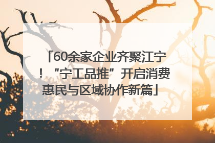 60余家企业齐聚江宁！“宁工品推”开启消费惠民与区域协作新篇