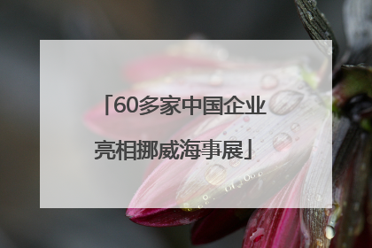 60多家中国企业亮相挪威海事展