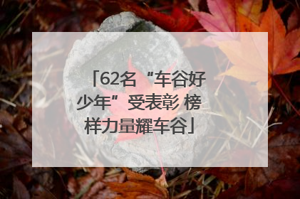 62名“车谷好少年”受表彰 榜样力量耀车谷