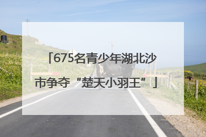 675名青少年湖北沙市争夺“楚天小羽王”