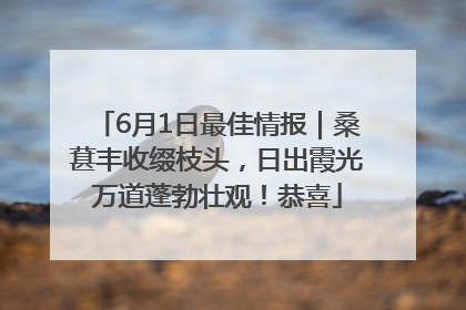 6月1日最佳情报｜桑葚丰收缀枝头，日出霞光万道蓬勃壮观！恭喜