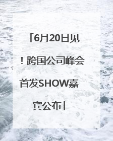 6月20日见！跨国公司峰会首发SHOW嘉宾公布