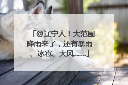 @辽宁人！大范围降雨来了，还有暴雨、冰雹、大风……