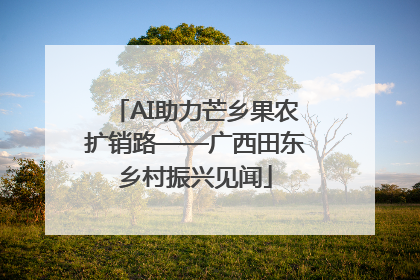 AI助力芒乡果农扩销路——广西田东乡村振兴见闻