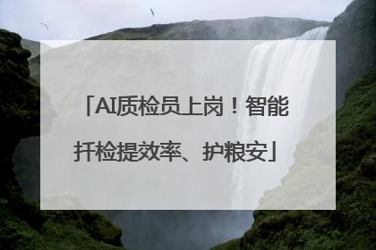 AI质检员上岗！智能扦检提效率、护粮安