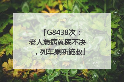 G8438次：老人急病就医不决，列车果断施救