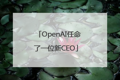 OpenAI任命了一位新CEO