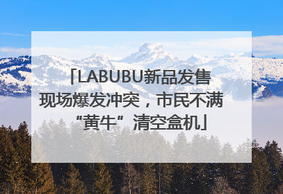 LABUBU新品发售现场爆发冲突，市民不满“黄牛”清空盒机