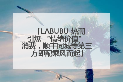 LABUBU 热潮引爆 “情绪价值” 消费，顺丰同城等第三方即配乘风而起